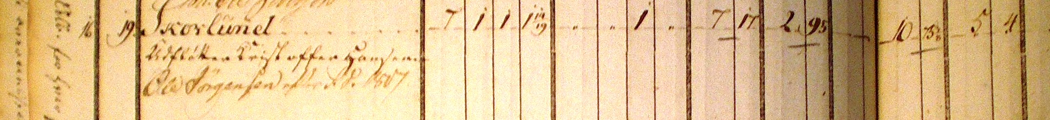 Jordebog 1796