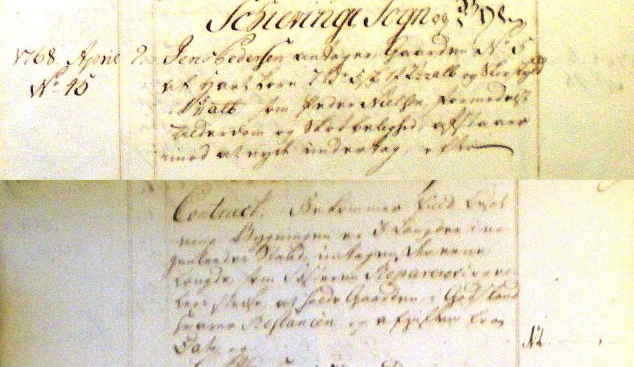 Fæste Designation 1768 - Jens Pedersen