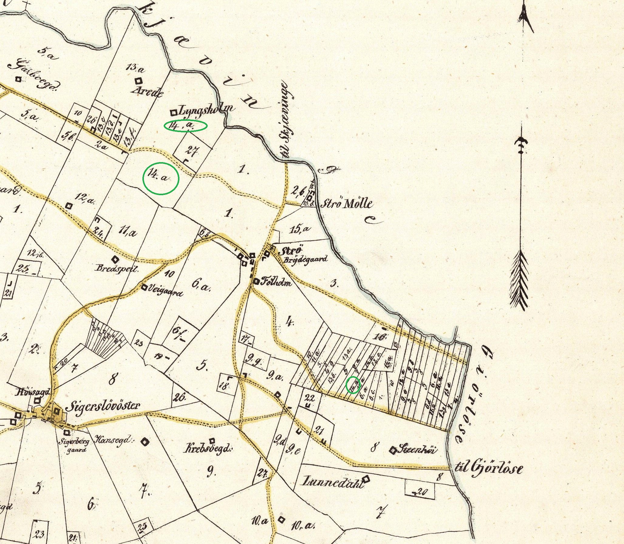 Lyngsholms arealer 1850